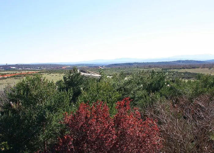 Monterrey Hotel Pradorrey